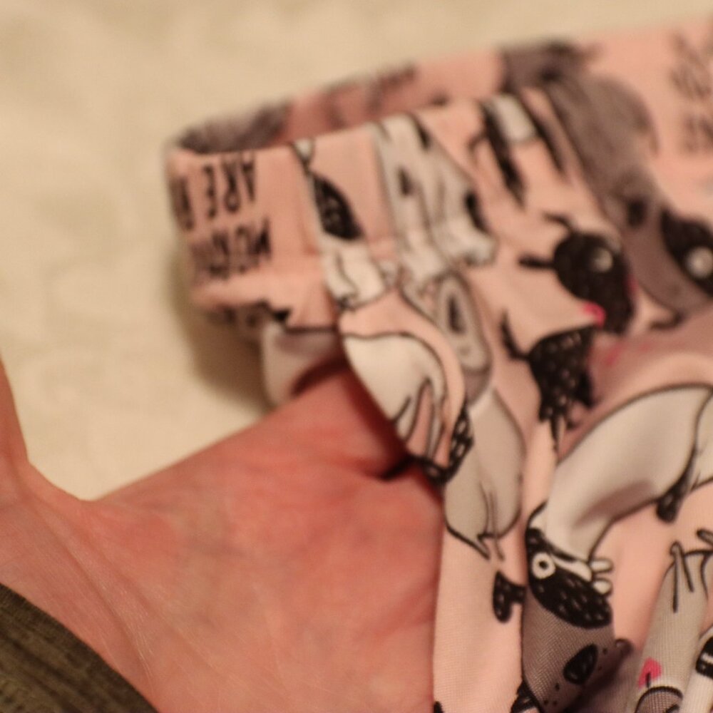 Secret Treasures Mornings are Ruff Dog Print Pajama Pants pants size Large - Picture 7 of 13